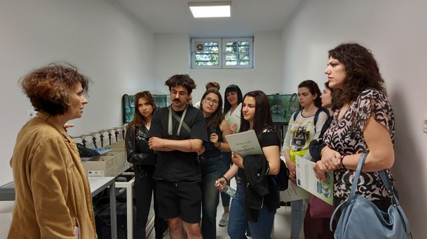 ltu students 5